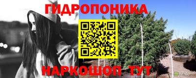 соль ск Уссурийск