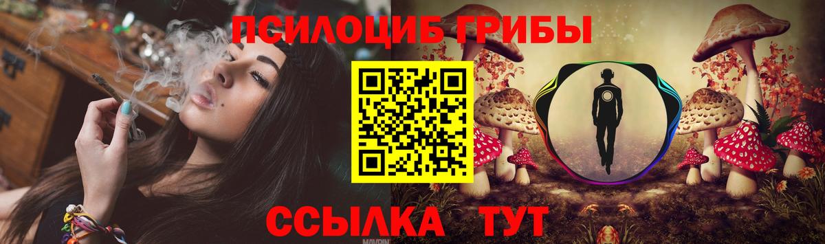Псилоцибиновые грибы MAGIC MUSHROOMS Торжок