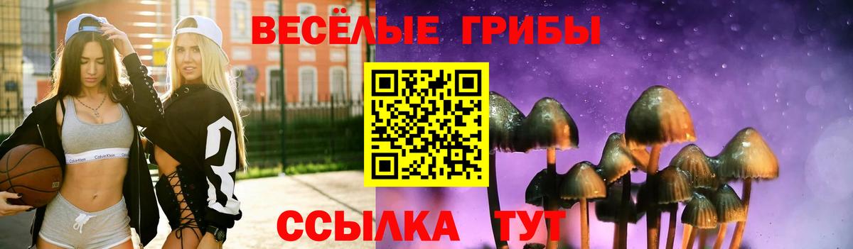 Галлюциногенные грибы мухоморы  Галлюциногенные грибы Cubensis  Вход с VPN  Торжок 